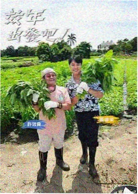 周末不打烊 综艺节目在线观看